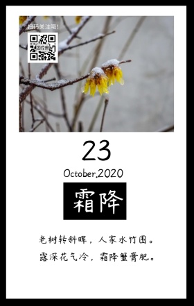 霜降季节节气木头黑色文艺简约日签