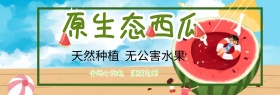 水果特惠简约西瓜banner