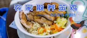 笨鸡农产品家禽淘宝移动banner