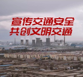 国际交通安全日宣传交通安全共创文明交通