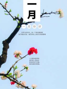 原创插画一月你好一月你好1月你好海报设计