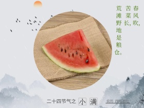小满二十四节气农历四月初七古风公众号配图