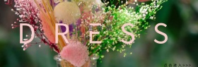 夏季简约粉色连衣裙淘宝banner