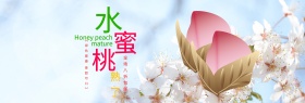 粉色清新水蜜桃水果食品淘宝banner