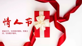 情人节快乐公众号封面