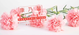 康乃馨淘宝移动banner