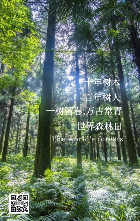 世界森林日绿色宣传环保简约插画手机海报