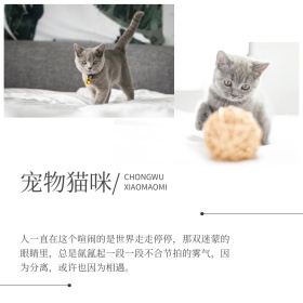 日系简约文艺可爱猫咪公众号配图