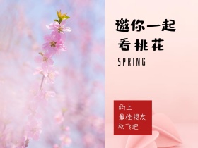 约上 看桃花 放飞吧 邀你一起 最佳损友 SPRING 春天春季春游景色油菜花公众号配图