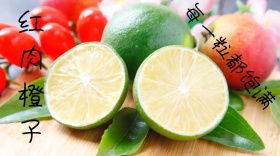 你身边的设计怪兽