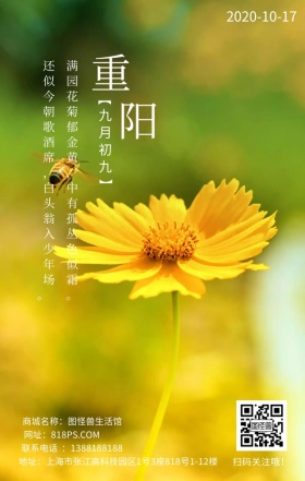 重阳节节日菊花文艺简约日签