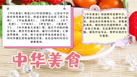 中华美食宣传小报