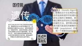 手抄报遗传黄色黑色简约文字