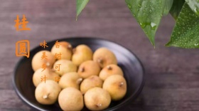 桂圆简约创意宣传公众号模版