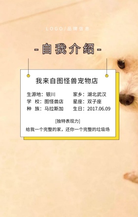 白色简约风宠物简历手机海报