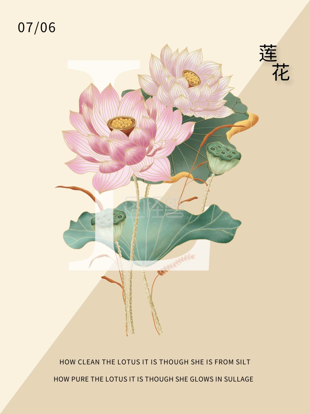 图怪兽频道提供《插画海报莲花》在线图片设计制作,点击"编辑"按钮,可