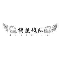 黑白简约风战队logo摘星