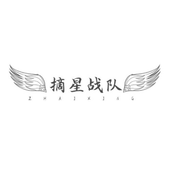 黑白简约风战队logo摘星