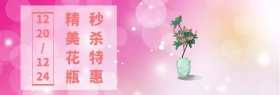 精致花瓶家居海报
