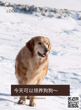 宠物收容所活动宣传海报