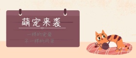 萌宠来袭公众号封面