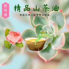 精品山茶油正品淘宝主图直通车
