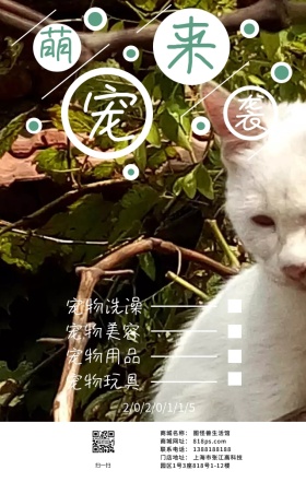萌宠来袭日签
