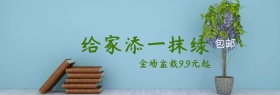 盆栽绿植聚划算banner图片
