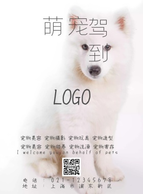 上海市宠物店用品宣传海报