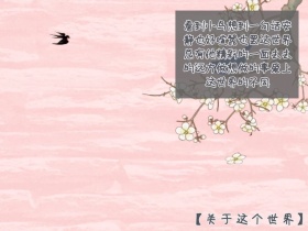 爱上这个不一样的世界