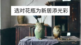 选对花瓶公众号封面