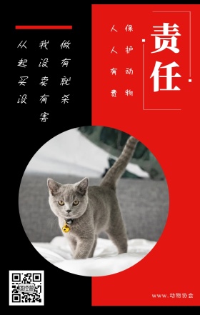 责任 保护动物 人人有责 www.动物协会 从我做起没有买卖就没有杀害 保护动物公益宣传手机海报