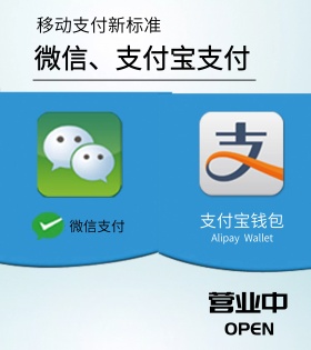 微信支付 支付宝支付