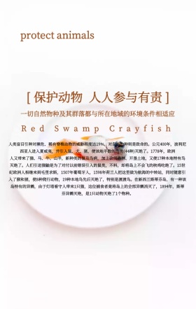 简约大气狮子保护动物公益宣传手机海报