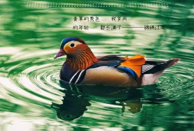 自然意境
