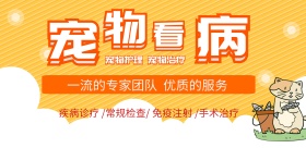 卡通宠物医院宣传广告