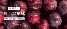 黑布林李子淘宝移动banner