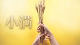 小满卡通红包公众号封面