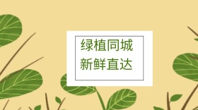 绿植同城文艺新鲜直达公众号封面模版