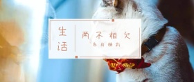 生活 两不相欠 各自精彩 倾我们所能去生活