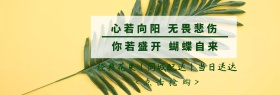鲜花淘宝促销简约创意直通车海报