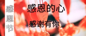 感恩节节日宣传创意爱心公众号封面