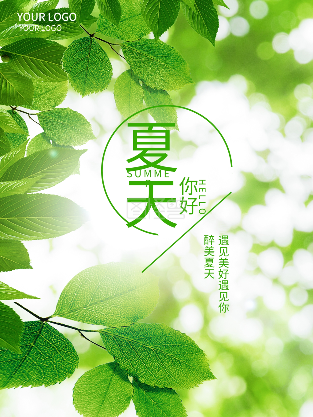 夏天你好树叶阳光海报