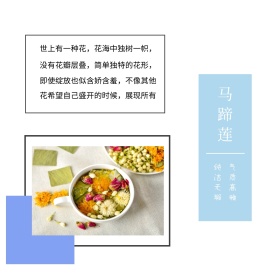 马蹄莲简介简约白色方形配图