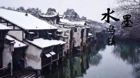 水墨乌镇公众号封面