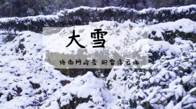 大雪简约诗句公众号封面模版
