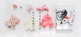 古风红花春天诗句公众号特殊首图