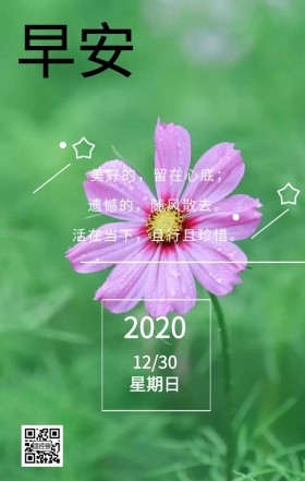 小草早安 