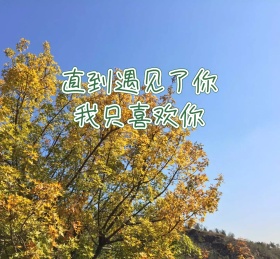 植物绿叶ins风朋友圈封面图