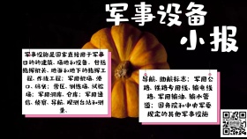 绿色简约军事设备小报